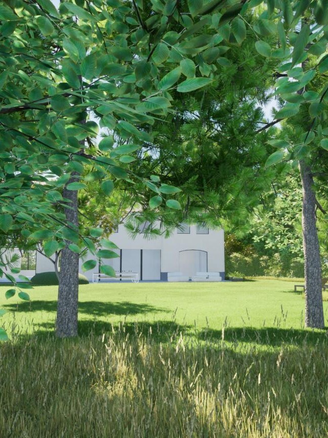 tuinarchitect_groenoplossingen_Herentals_extensiefgras_pinus
